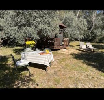 ホテル Roulotte / Tiny House Dans Les Alpilles Saint-Rémy-de-Provence エクステリア 写真